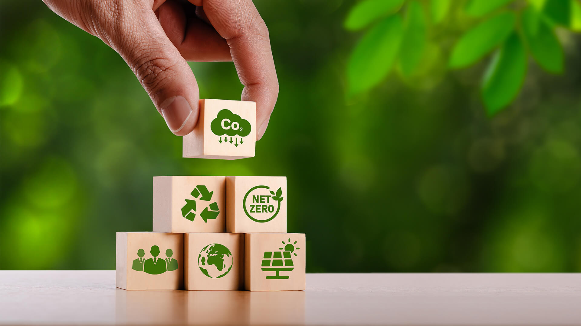 5 Things We’re Doing at CSM Services Group to Reduce Our Carbon Footprint