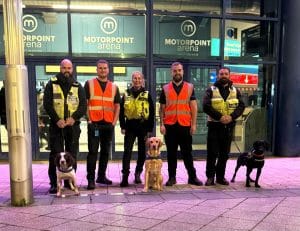 How Detection Dogs Support Crowd Safety and Compliance at Events
